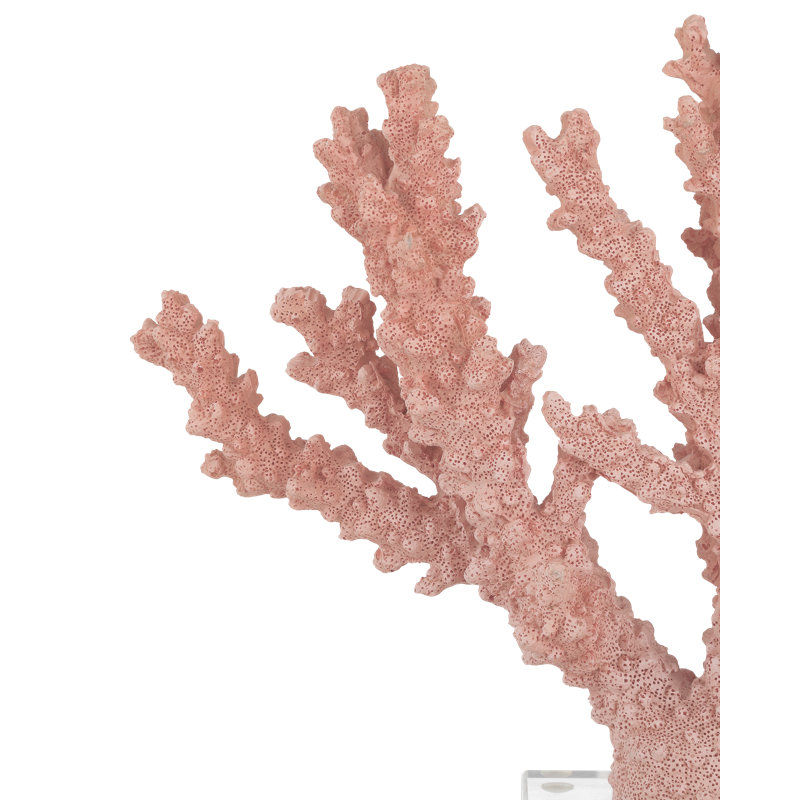 Fire Large Coral