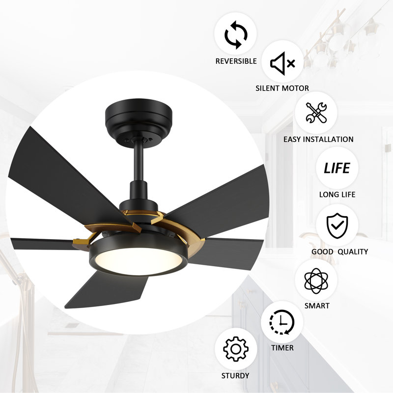 Ventilateur de plafond extérieur noir avec lumière, H 14,3 po x l 56 po