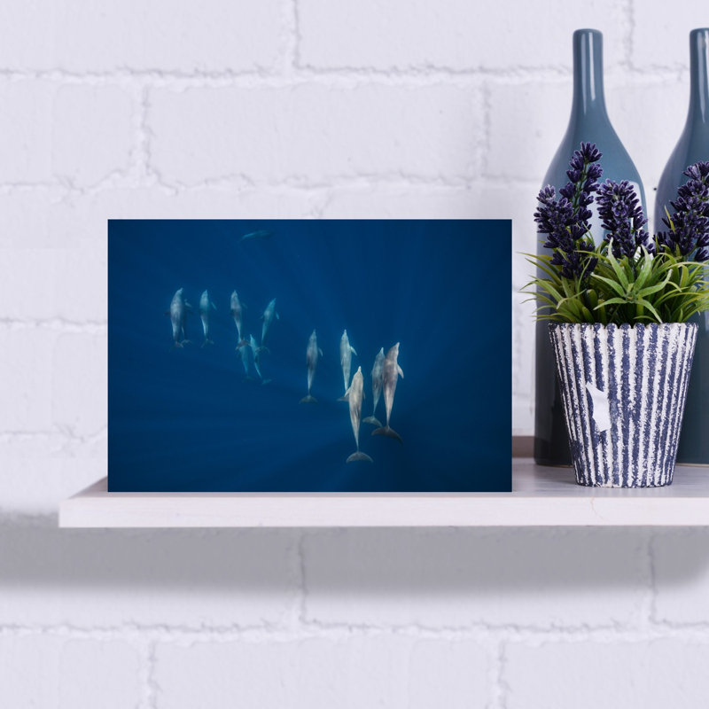 Deep Blue Dolphin Pod Elegant Peaceful Serene Dolphin Nature Ocean Wall Art Print 1 Piece Wrapped Canvas Wall Art