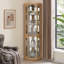 Vitrine d'angle vitrée d'angle pour vitrine d'angle pour salon, armoire vitrée, collection Antique, vin, éclairage de bar en verre inclus, chêne clair