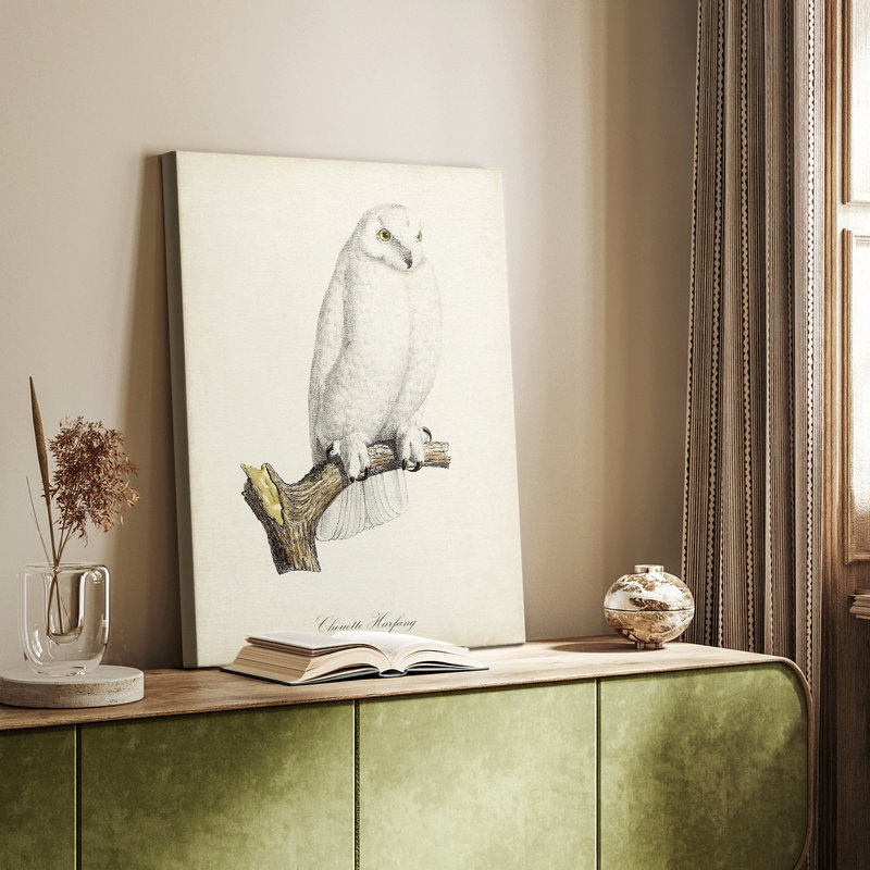 French Owls IV - galerie sur mesure, H 27 po x l 18 po