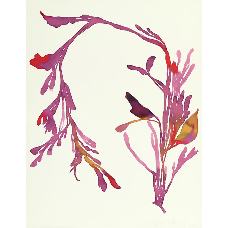 Plants XIII Print by Hable Construction, 31" H x 24" W, Glass Coat