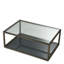 Glass Coffee Table