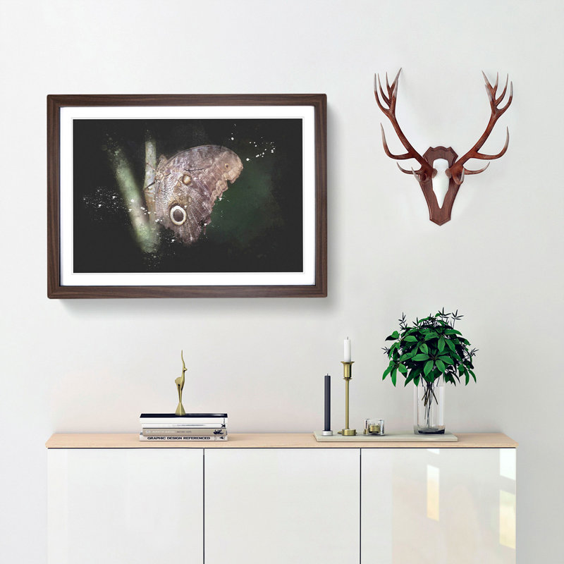 Beauty Of A Butterfly Paint Splash - Picture Frame Graphic Art, 45cm H x 63cm W x 2cm D, Walnut Framed
