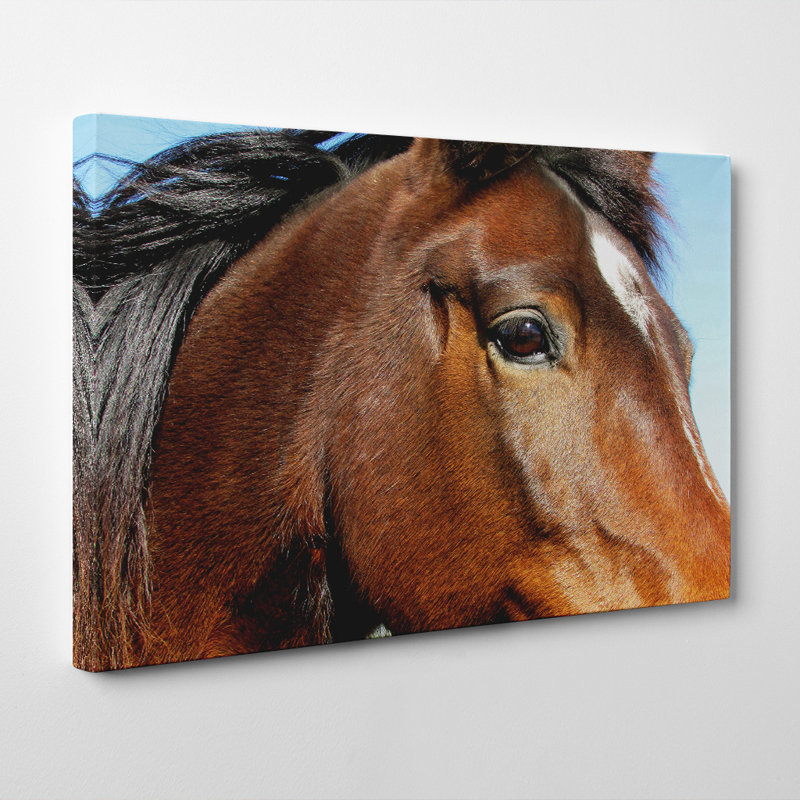 Wrapped Canvas Print, 35cm H x 50cm W