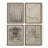 Vintage Sketch LXXX  Framed Print - Set of 4-1481407051-1481407050