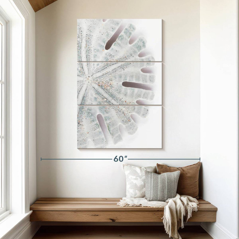 Brampt Florida Sand Dollar I, 50" H x 32" W