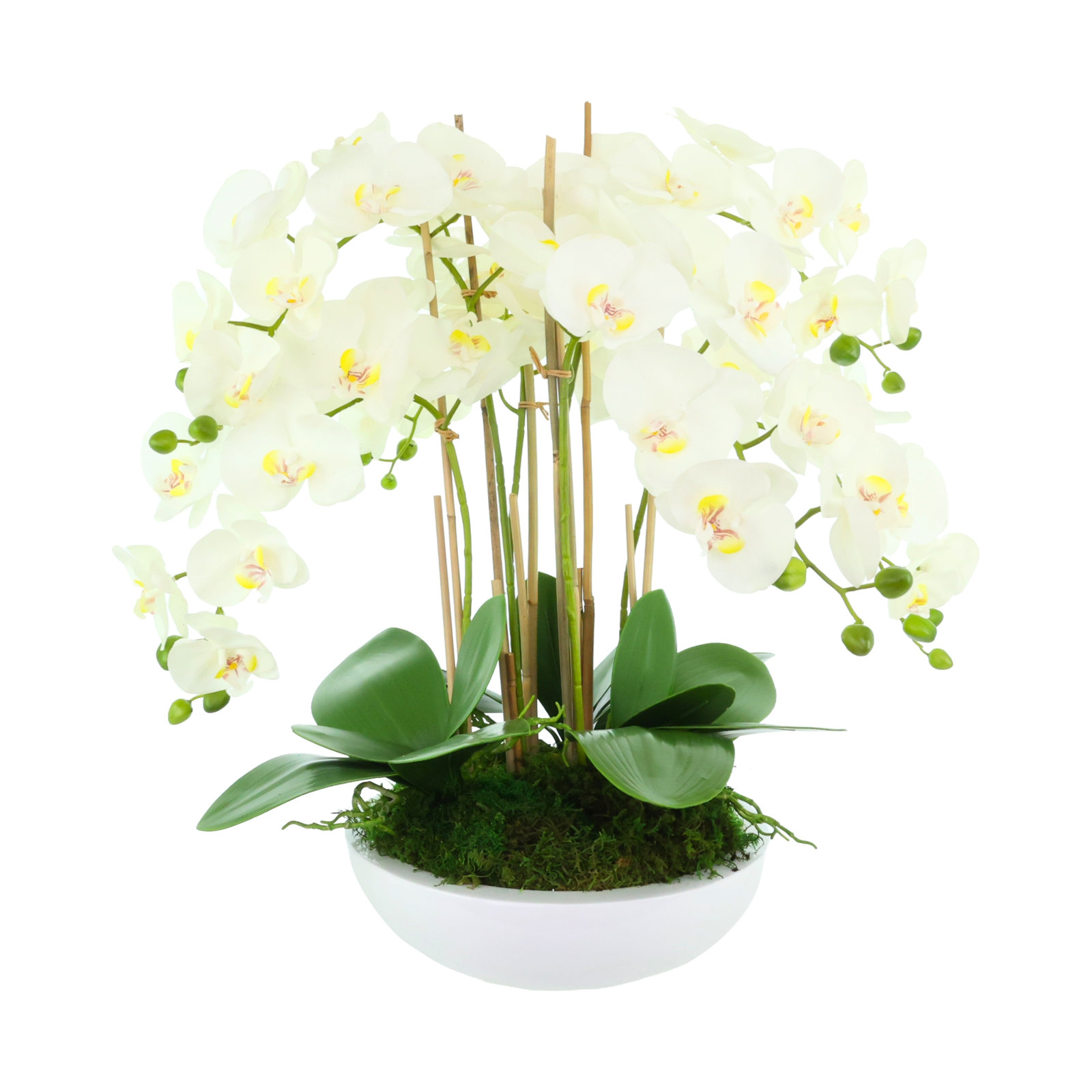 Orchid Arrangement in Ceramic Planter, 27"H x 26"W x 26"D