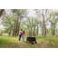 Chariot pliable tout-terrain Wilderness-99312994