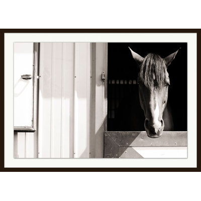 Cheval heureux