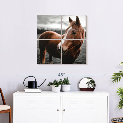 Brampt Shining Horse