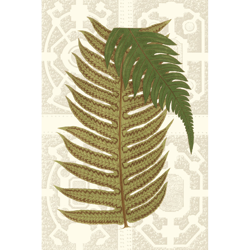 Garden Ferns II - Graphic Art, 76 cm H x 51 cm W, Wrapped Canvas