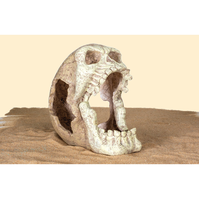 Décoration cachette pour reptiles Reptology