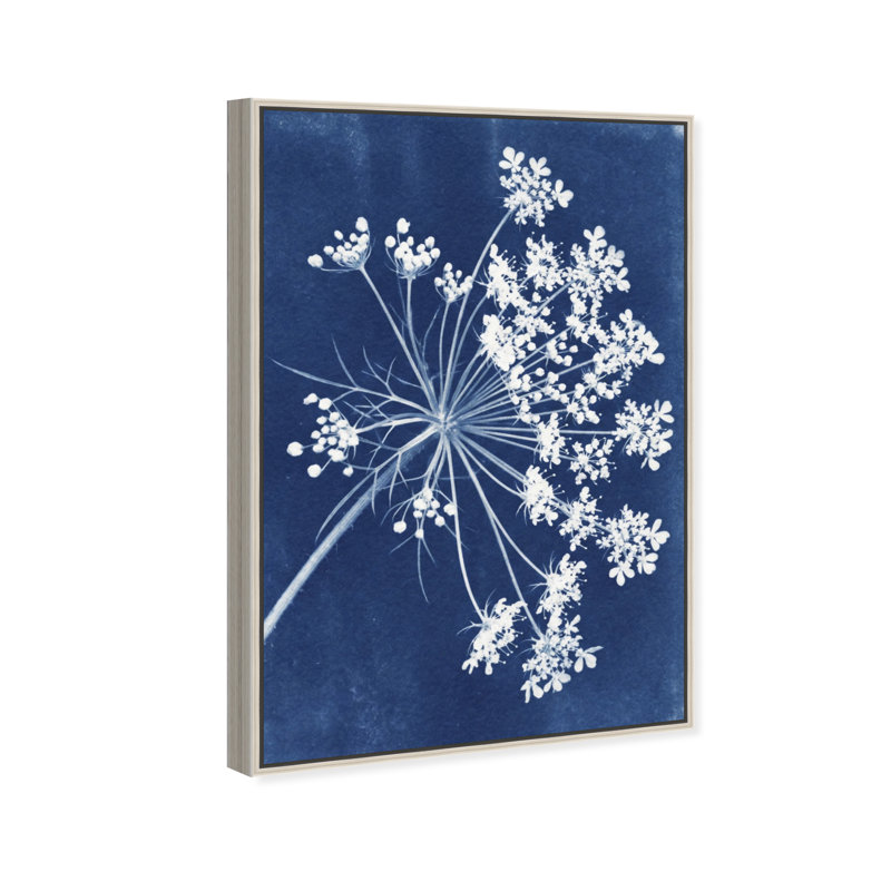 Queen Lace Print by Oliver Gal, 17"H x 25"W, Silver Floater Frame