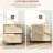 2 Drawer Locking File Container - Office Organization Aid With Adjustable Hanging Bar For Multiple Paper Sizes Natural Magnificence Vertical Cabinet Lock Storage Solution Exterior, For Different