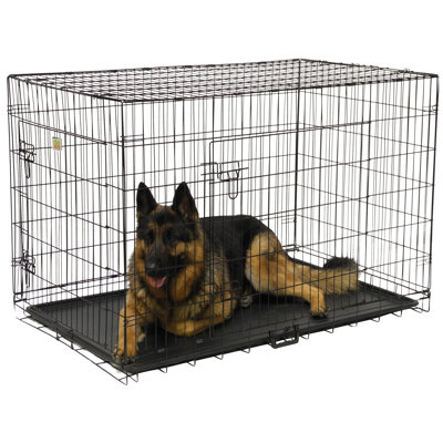 Metal Collapsible Pet Crate with 2 Doors