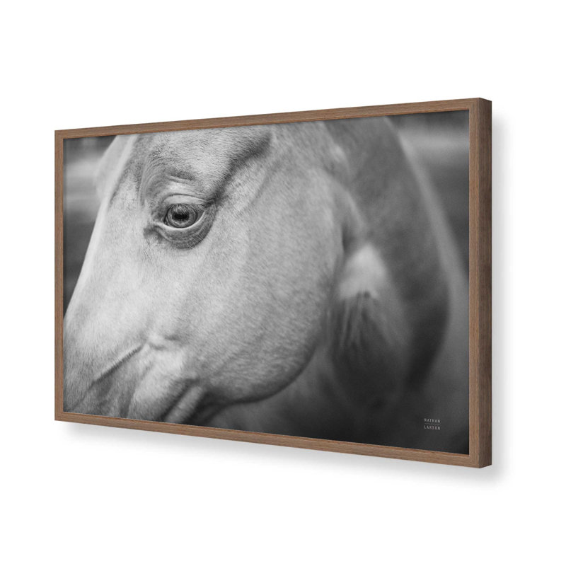 Willow by Nathan Larson Art Print, 12" H x 18" W, Brown