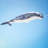 Humpback Big Breeze Windsock