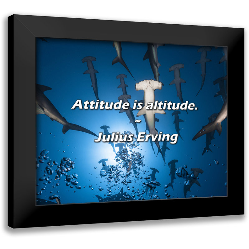 Julius Erving Quote: Attitude is altitude.