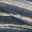 Enthral Wp - Sky-1971389299