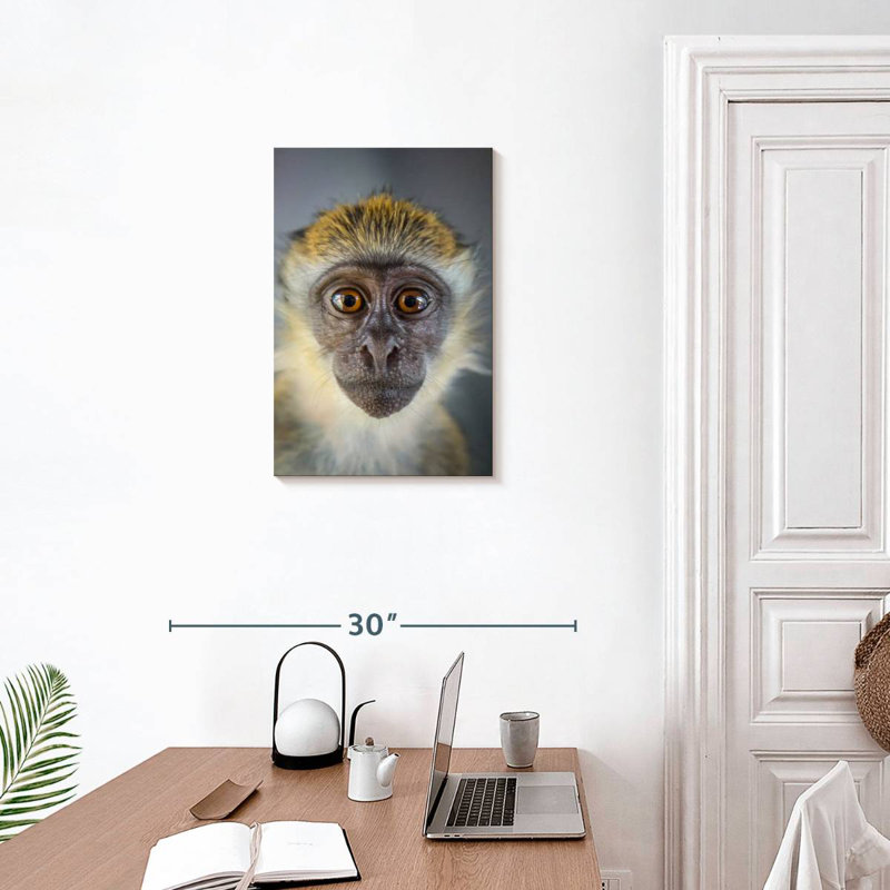Brampt Vervet Monkey, 24" H x 16" W
