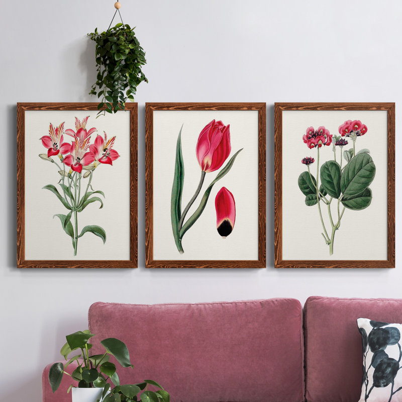 Roseat Blooms I - ensemble de 3 peintures sur toile encadrées, H 31,5 po x l 47 po x P 1,5 po, Érable