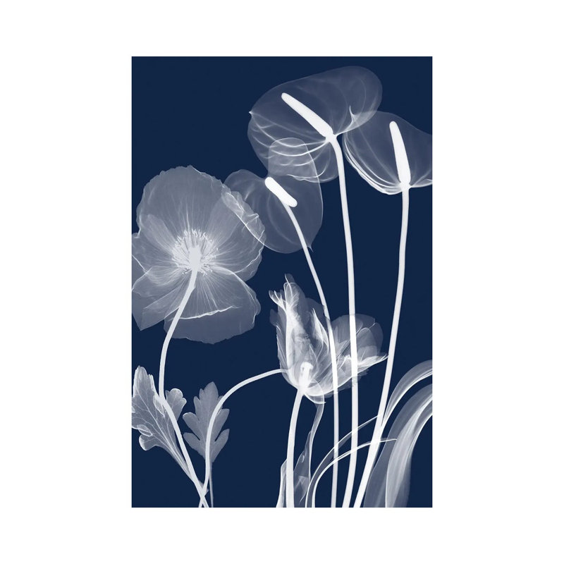 Navy Flora I by Albert Koetsier - Wrapped Canvas Gallery-Wrapped Canvas Giclée, Wrapped Canvas, 18" H x 12" W