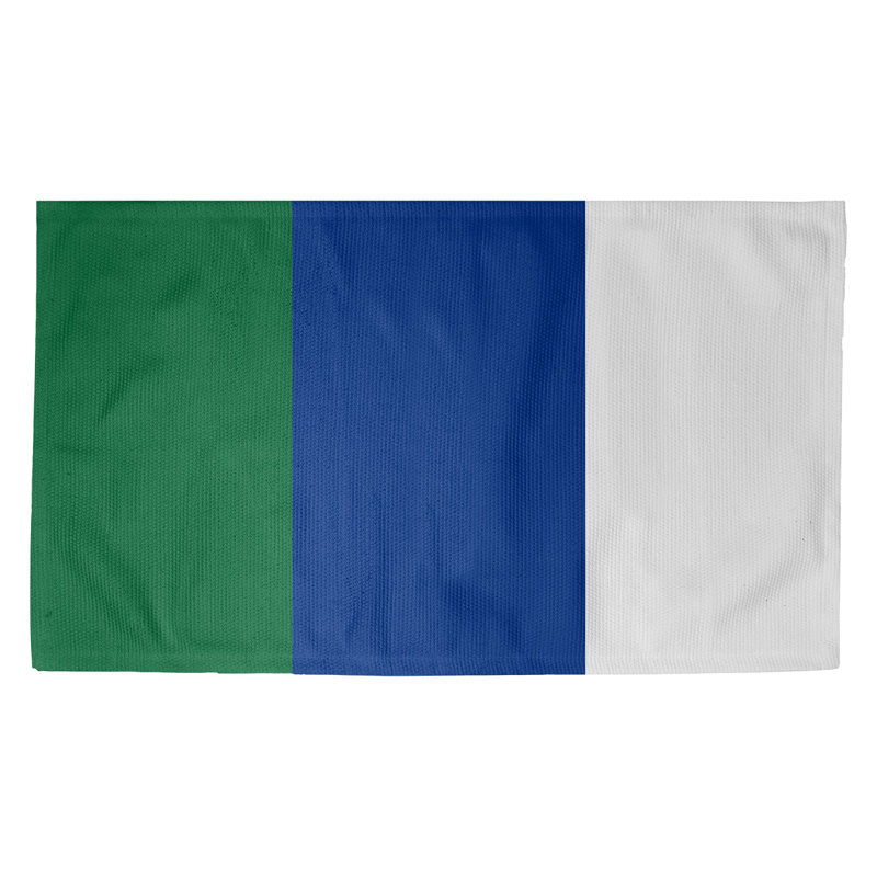 Tapis bleu/blanc football retour seattle, Rectangle 5 pi x 7 pi, Oui