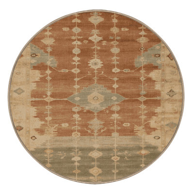 Machine Washable Overdyed Brown Area Rug