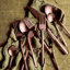 Ensemble de couverts raison - 5 pièces-1538889052