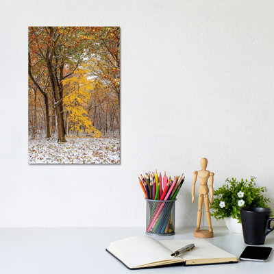 White And Yellow by Nejdet Duzen - Wrapped Canvas Photograph