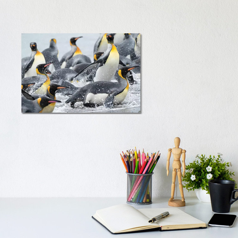 King Penguin Rookery On Salisbury Plain In The Bay Of Isles. South Georgia Island by Martin Zwick - Wrapped Canvas Print