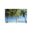 Raratonga I Print by Peter Adams-26706045-26706040