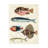 " Renard Tropical Fish IV " by Louis Renard-98232994