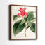 Impression encadrée FloraOf TheTropicsI-Premium - prête à être accrochée - aucun clou requis - aucun clou requis-108001199-108001201