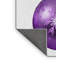 Tapis de la zone mauve des fêtes-891445537