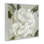 Rose Floret, estampe numérique, design par Alex Black