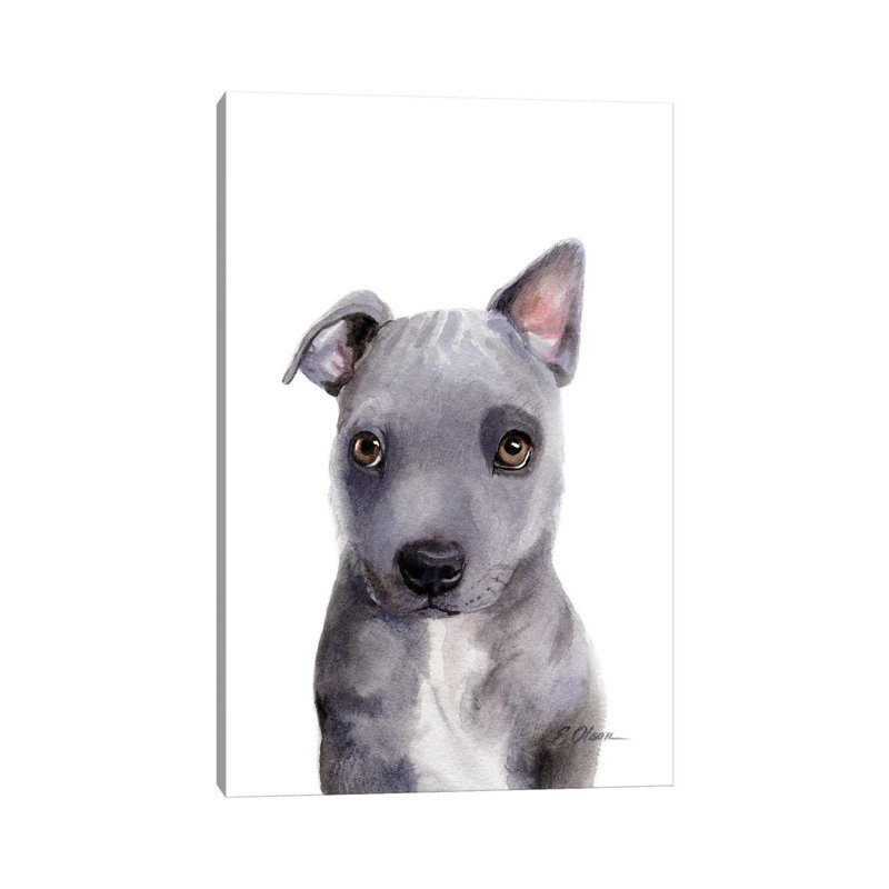 «Mixed Breed Puppy» par Watercolor Luv - reproduction d'art, Toile tendue, H 12 po x l 8 po x P 0,75 po, Pas de tapis