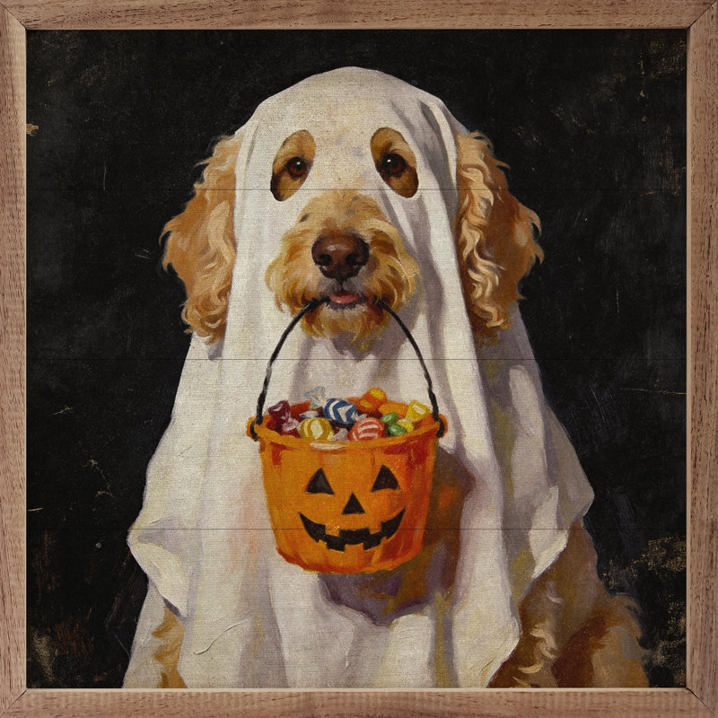 Truc ou délice Goldendoodle, H 12 po x l 12 po
