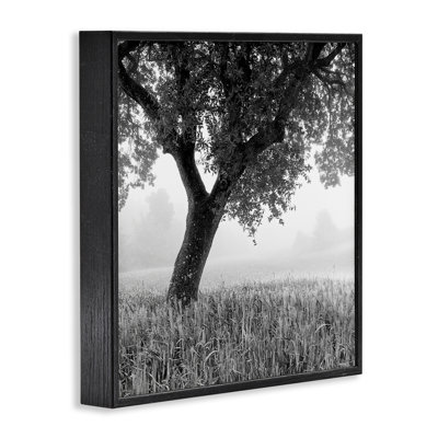 «Tuscan Morning Scenery», estampe numérique par Chip Forelli