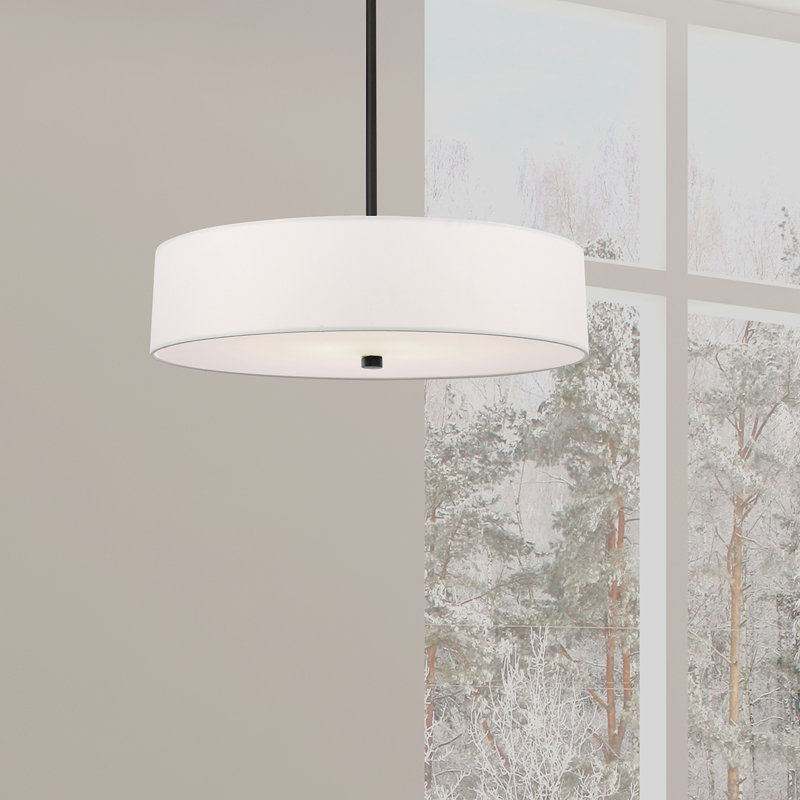 4 - Light Matte Black Unique/Statement Pendant, White, White