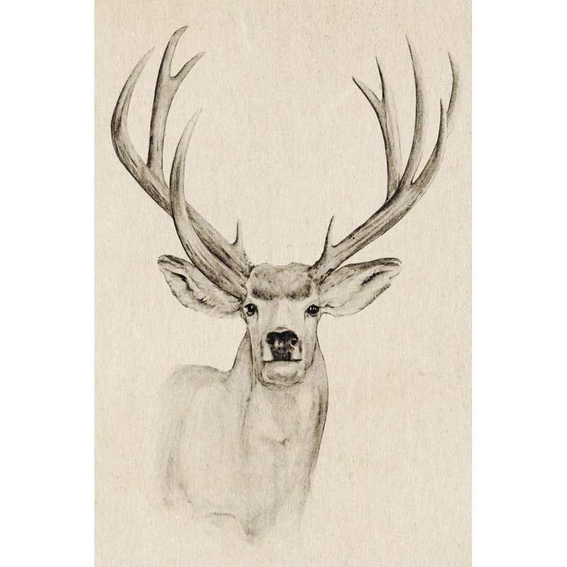 Natural Buck I by Annie Warren - Wrapped Canvas Drawing, 46cm H x 30cm W, Black Floater Framed