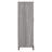 Kaionna Accent Cabinet