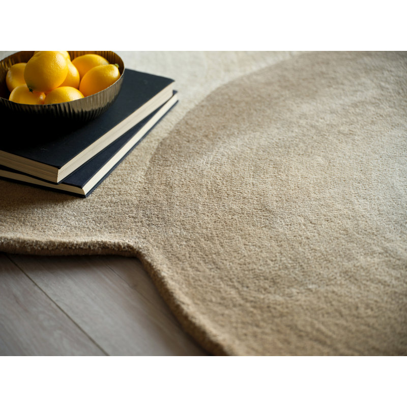 Mitomo Hand Tufted Abstract Area Rug