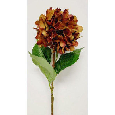 Tige d'hortensia