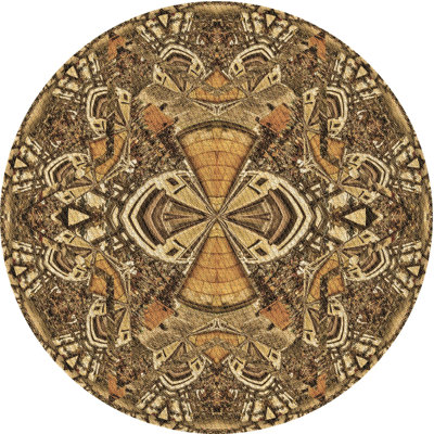 Oriental Indoor Rug