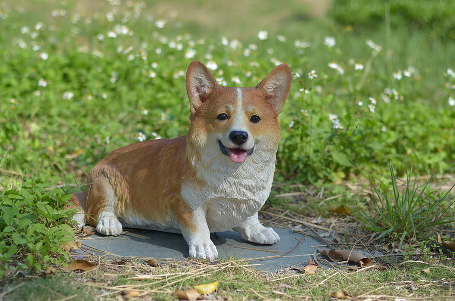 https://assets.wfcdn.com/im/30936546/compr-r85/7265/72650020/corgi-dog-statue.jpg