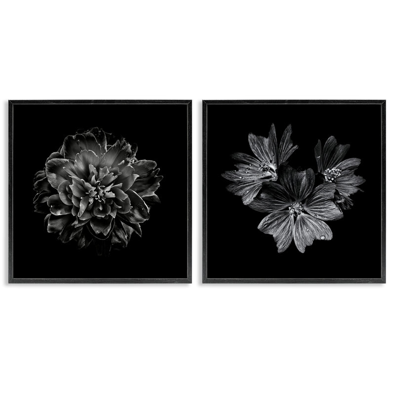  «Blossoms with Water Droplets», ensemble de 2 giclées par Brian Carson, H 12 po x l 12 po, Giclée encadrée noir minuit