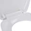 Alatorre Soft Close Elongated Toilet Seat