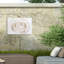 Rose blanche bolologienne-98044301